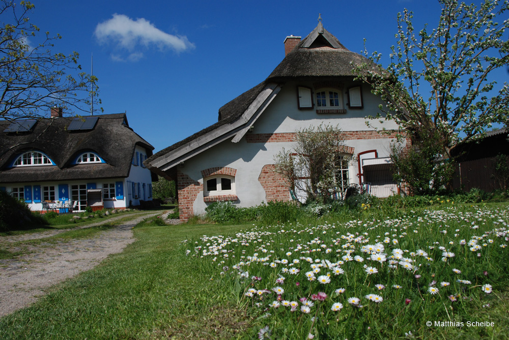 Haus Sonnenwinkel - Rügen - Ostseebad Sellin
